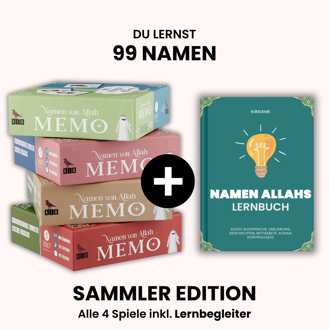 4 Spiele + Lernbegleiter